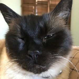 Meet your Posher, Julia